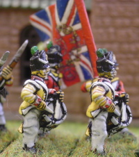 Napoleonic Unit